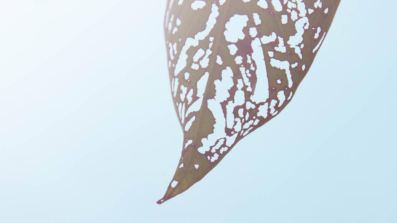 刷快手赞稳定网站,京