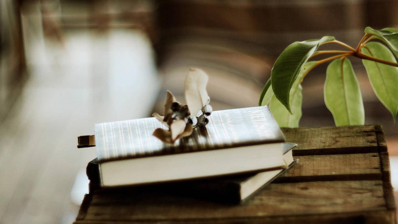 Home